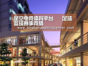 案例展示一